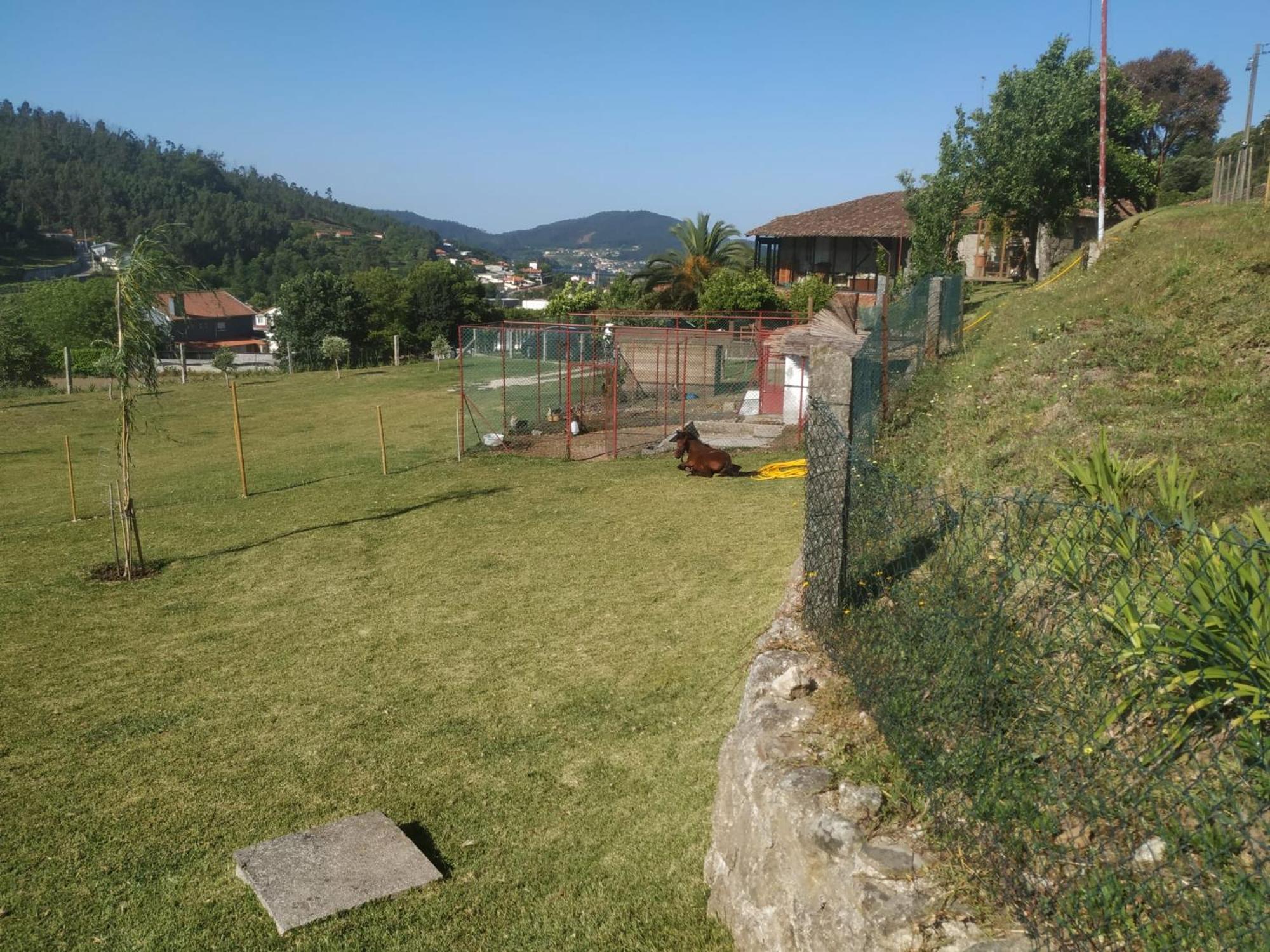 Quinta Dos Campos - Apartamento 2 Braga Zewnętrze zdjęcie